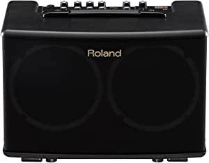 Roland / AC-40